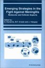 Emerging Strategies in the Fight against Meningitis